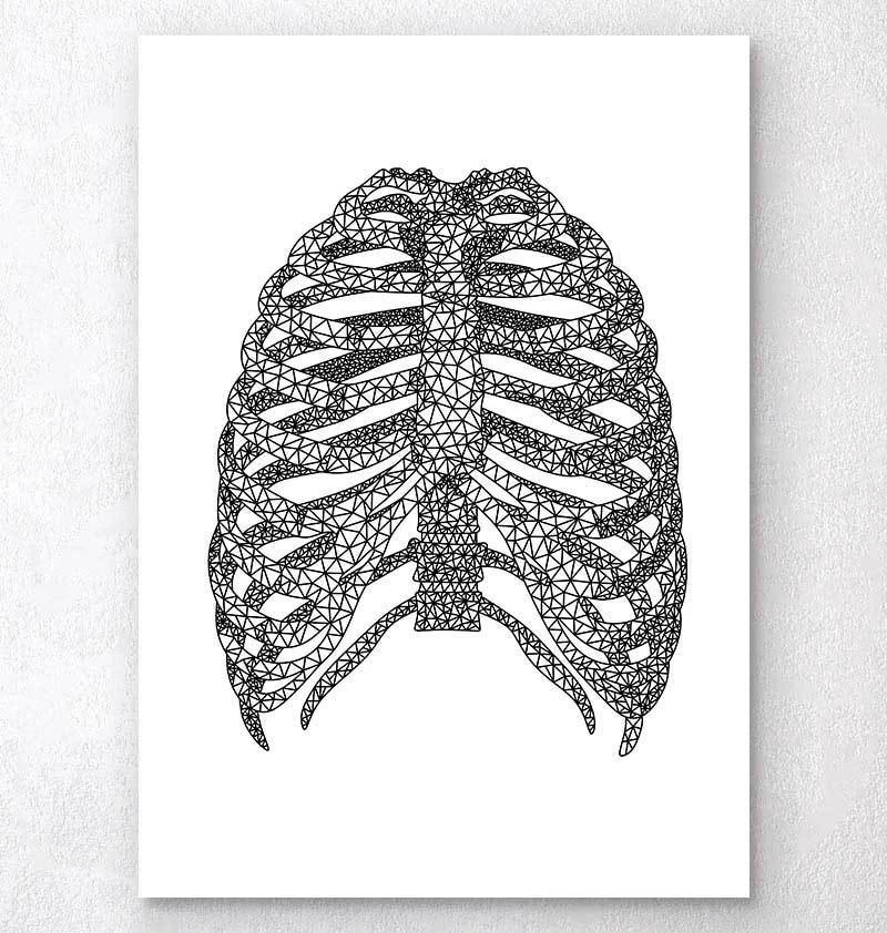 Minimal Geometric Rib Cage 3 Minimal Geometric Rib Cage