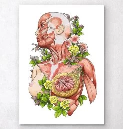 Female Body Anatomy Art - White
