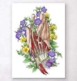 Hand Anatomy Art - White