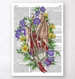 Hand Anatomy Art - Dictionary Page