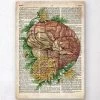 Brain With Flowers - Old Dictionary Page -Codex Anatomicus Shop LPA085
