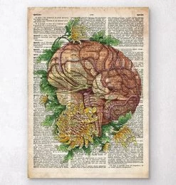 Brain With Flowers - Old Dictionary Page