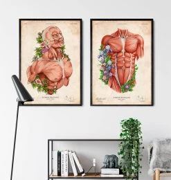 Male Body - Floral - Vintage -Codex Anatomicus Shop LPA087 3