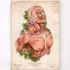 Male Body - Floral - Vintage -Codex Anatomicus Shop LPA087 04344d00 2dcb 4b14 89f4 0d48207b8bbe