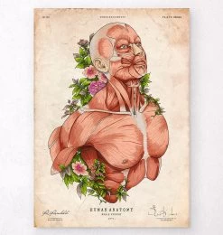 Male Body - Floral - Vintage