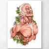 Male Body Anatomy Art - White -Codex Anatomicus Shop LPA088