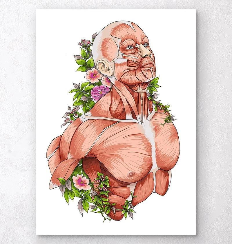 Male Body Anatomy Art - White 3 Male Body Anatomy Art - White