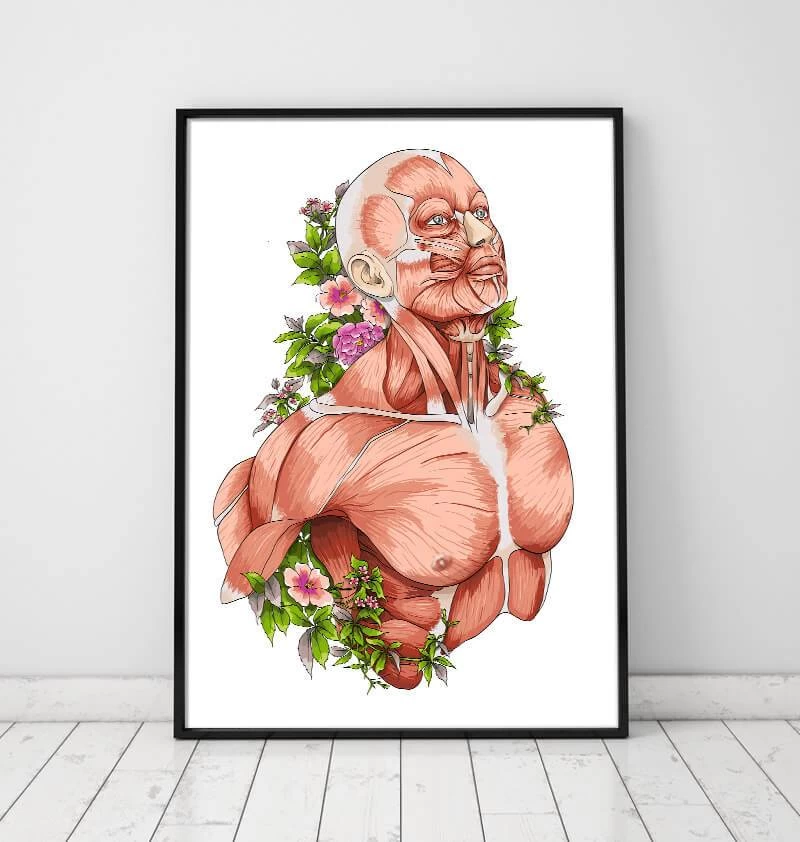 Male Body Anatomy Art - White 4 Male Body Anatomy Art - White - Image 2