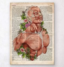 Male Body Anatomy Art - Old Dictionary