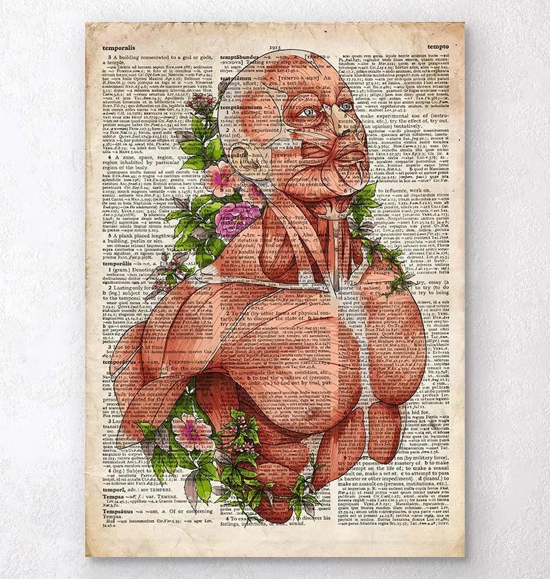 Male Body Anatomy Art - Old Dictionary 3 Male Body Anatomy Art - Old Dictionary