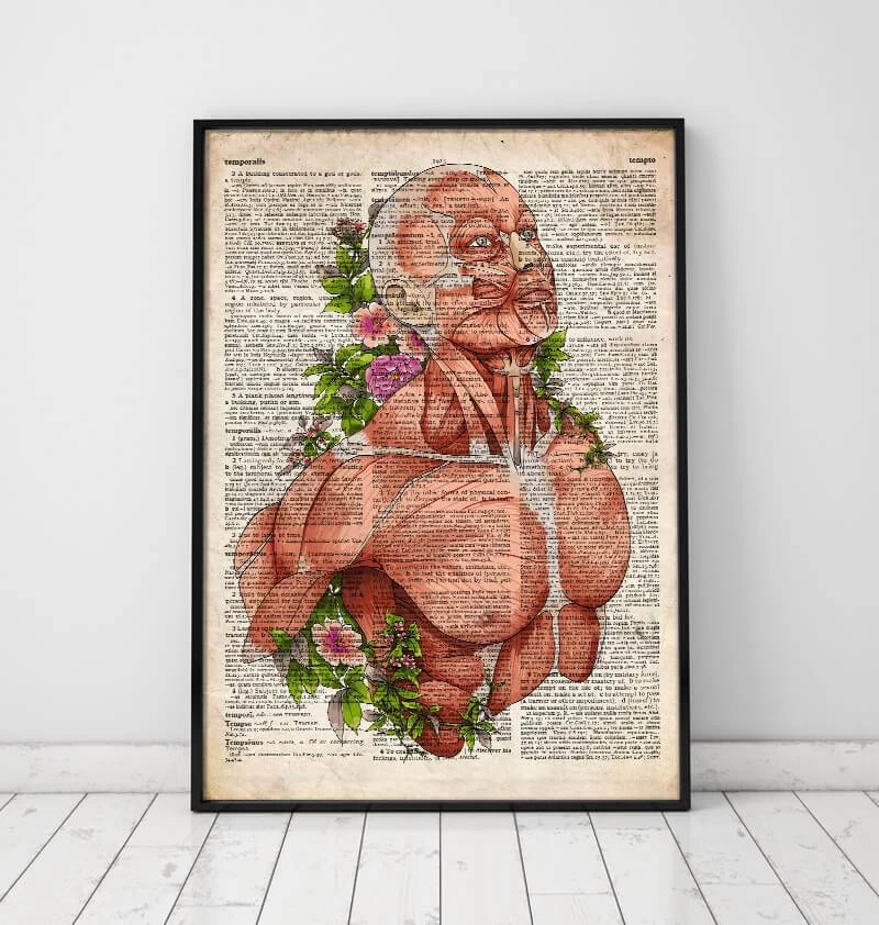 Male Body Anatomy Art - Old Dictionary 4 Male Body Anatomy Art - Old Dictionary - Image 2