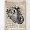 Heart Anatomy Art I - Old Dictionary Page