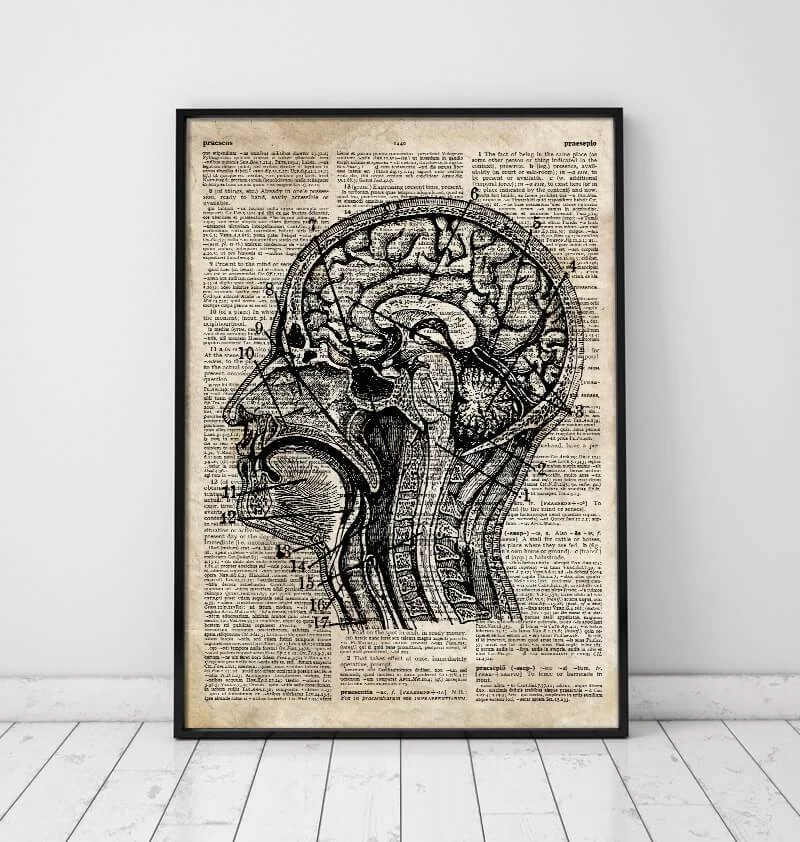 Brain Anatomy Art I - Old Dictionary Page 4 Brain Anatomy Art I - Old Dictionary Page - Image 2