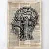 Brain Anatomy Art I - Old Dictionary Page 1 Brain Anatomy Art I - Old Dictionary Page -Codex Anatomicus Shop LPA122 d24e62ef 1a5c 4da2 982f 86d723265bc9