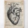 Heart Anatomy Art II - Old Dictionary Page