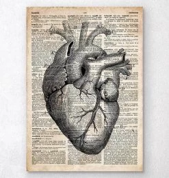Heart Anatomy Art II - Old Dictionary Page