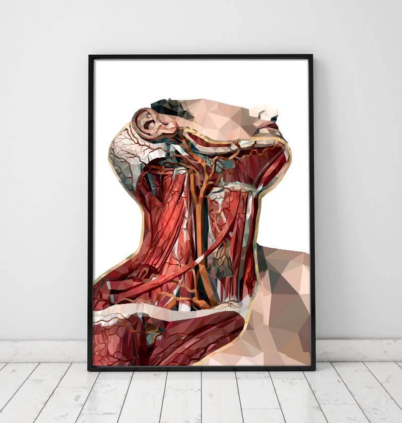 Geometric Neck Anatomy Art 4 Geometric Neck Anatomy Art - Image 2