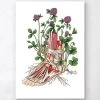 Floral Foot Anatomy 1 Floral Foot Anatomy -Codex Anatomicus Shop LPA133 f1821931 64d7 4e0d ad51 881331c4745a