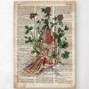 Floral Foot Anatomy - Old Dictionary Page -Codex Anatomicus Shop LPA134 4e0e32ac 5975 42ee b5b6 a627e152d745