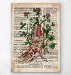 Floral Foot Anatomy - Old Dictionary Page