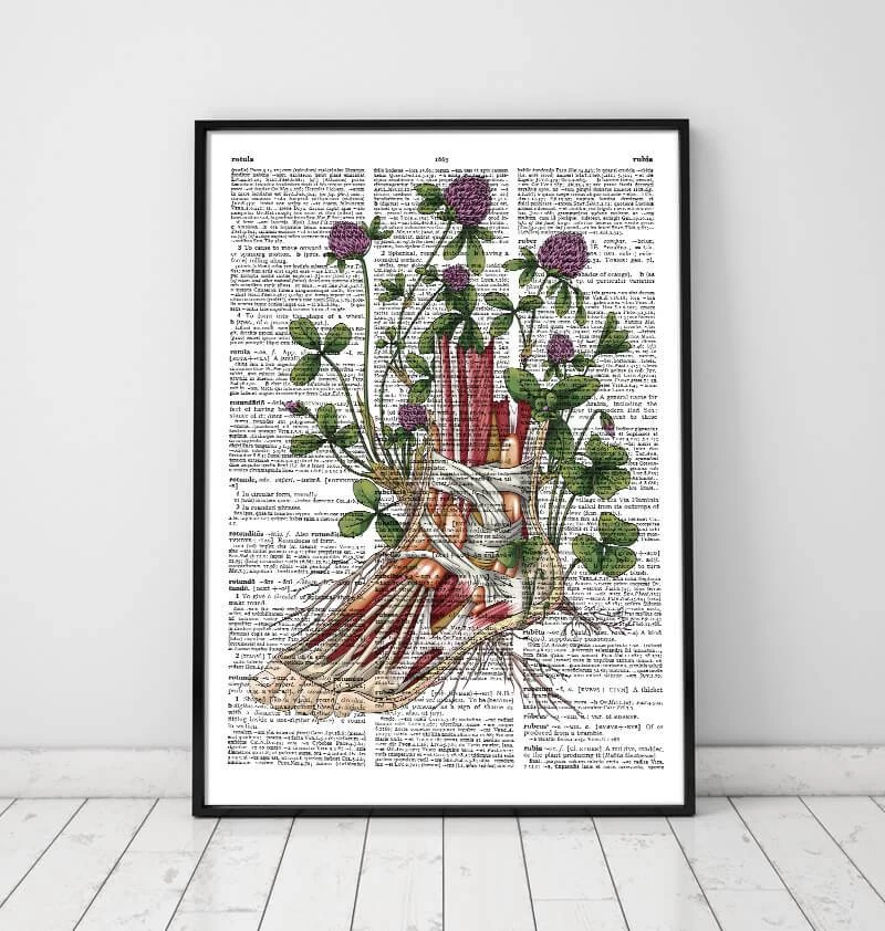 Floral Foot Anatomy - Dictionary Page 4 Floral Foot Anatomy - Dictionary Page - Image 2