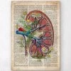 Kidney With Flowers - Old Dictionary Page -Codex Anatomicus Shop LPA142 123dc5e6 5467 4328 8187 aca9240ecd71