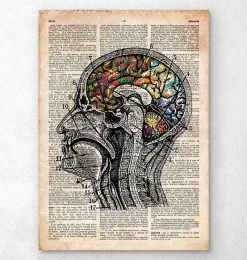 Floral Brain Art - Old Dictionary Page