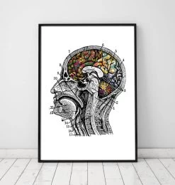 Floral Brain Art - White Background -Codex Anatomicus Shop LPA147 a360a0ad c4c7 4dfb b72a da8042b8d68c