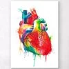 Heart Anatomy Art - Watercolor Splash -Codex Anatomicus Shop LPA153