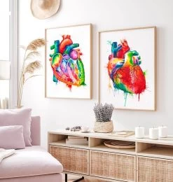 Heart Anatomy Art - Watercolor Splash 7 Heart Anatomy Art - Watercolor Splash -Codex Anatomicus Shop LPA153 2