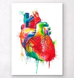 Heart Anatomy Art - Watercolor Splash