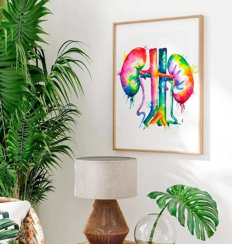 Kidneys Anatomy Art - Watercolor Splash 4 Kidneys Anatomy Art - Watercolor Splash - Image 2