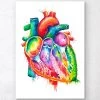 Anatomical Heart Art - Watercolor Splash