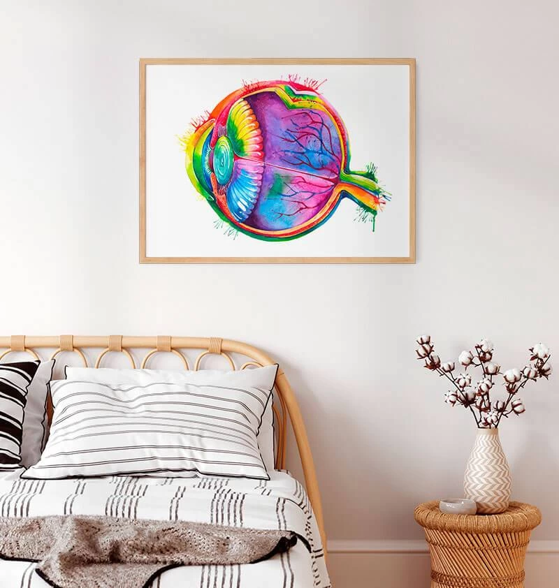 Eye Anatomy - Watercolor Splash 4 Eye Anatomy - Watercolor Splash - Image 2