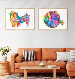 Eye Anatomy - Watercolor Splash 8 Eye Anatomy - Watercolor Splash -Codex Anatomicus Shop LPA160 2