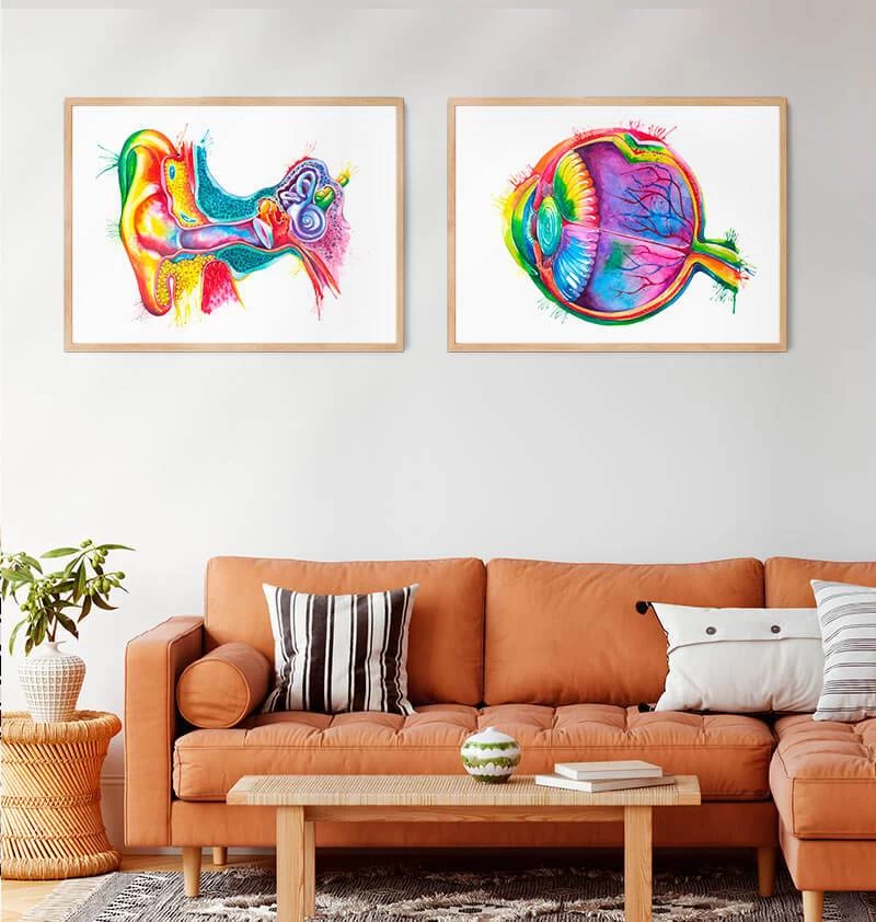 Eye Anatomy - Watercolor Splash 5 Eye Anatomy - Watercolor Splash - Image 3