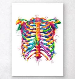 Rib Cage - Watercolor Splash