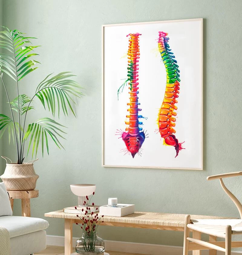 Spine Anatomy - Watercolor Splash 4 Spine Anatomy - Watercolor Splash - Image 2