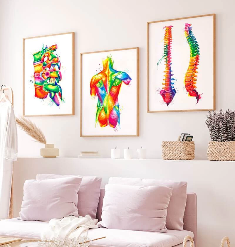 Spine Anatomy - Watercolor Splash 5 Spine Anatomy - Watercolor Splash - Image 3