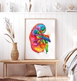 Codex Anatomicus Shop -Codex Anatomicus Shop LPA164 1