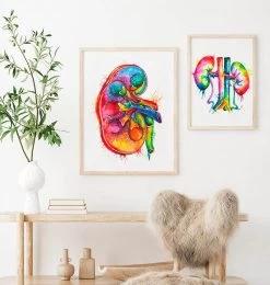 Right Kidney Anatomy - Watercolor Splash -Codex Anatomicus Shop LPA164 2