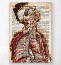 Geometric Human Anatomy II - Old Dictionary Page