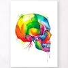 Skull - Watercolor Splash 1 Skull - Watercolor Splash -Codex Anatomicus Shop LPA168