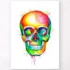 Skull II - Watercolor Splash 2 Skull II - Watercolor Splash -Codex Anatomicus Shop LPA169