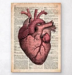 Heart Anatomy III - Old Dictionary Page