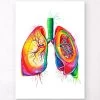 Anatomical Lungs Art - Watercolor Splash 2 Anatomical Lungs Art - Watercolor Splash -Codex Anatomicus Shop LPA174