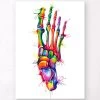 Foot Anatomy - Watercolor Splash