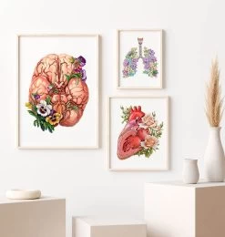 Brain Anatomy - Floral -Codex Anatomicus Shop LPA179 2