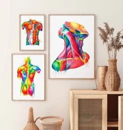 Neck Muscles Anatomy Art - Watercolor Splash -Codex Anatomicus Shop LPA181 2