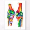 Knee Anatomy - Watercolor Splash -Codex Anatomicus Shop LPA182